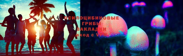 тгк Богородицк