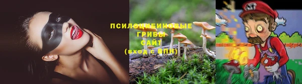 дурь Белокуриха
