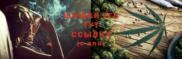 PSILOCYBIN Богданович
