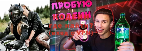 PSILOCYBIN Богданович